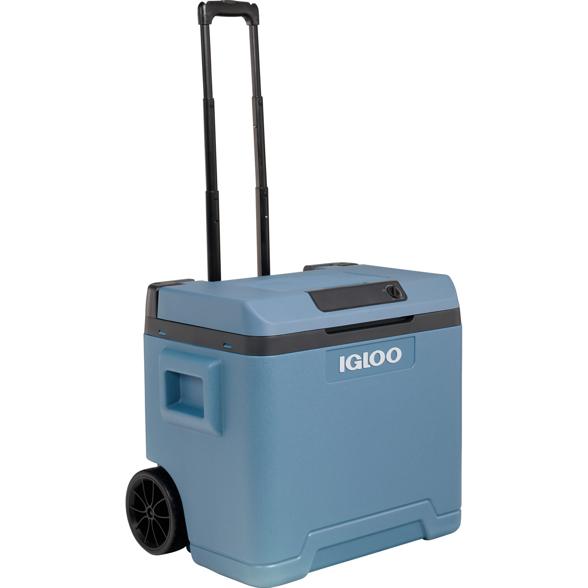 Igloo IE 42, 12/230 Volt