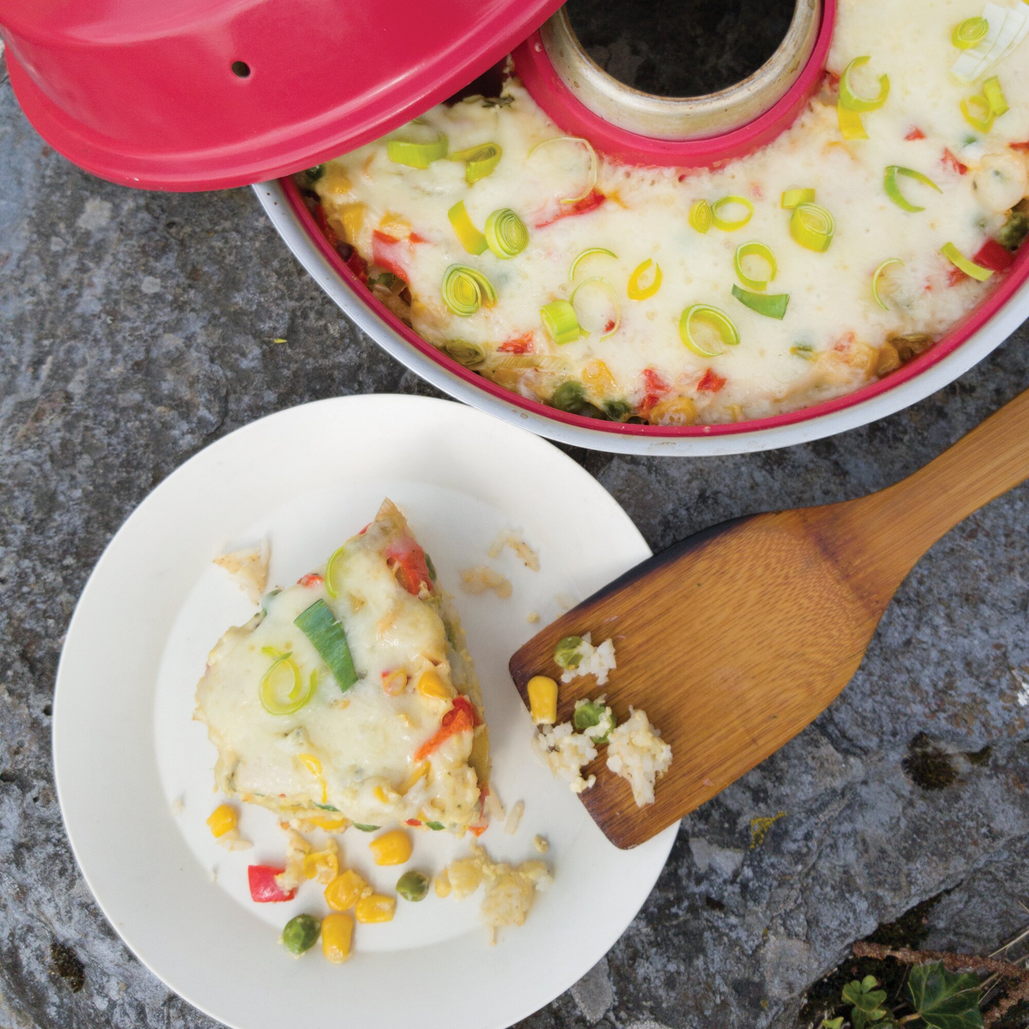 Auflauf, Quiche, Pizza & Co. – Rezepte für den Omnia Backofen – Kochbuch