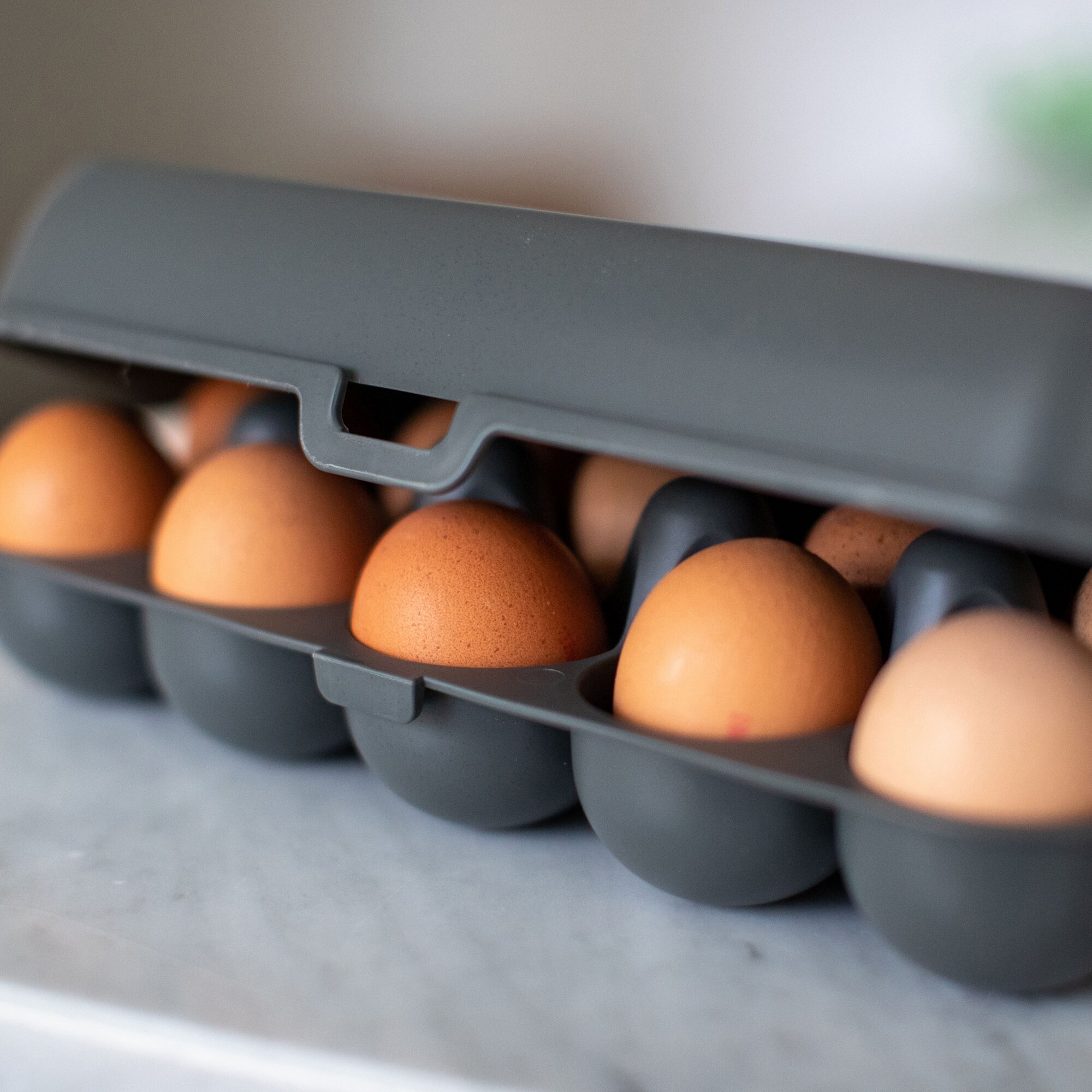 Eierbox EGGS TO GO, grau