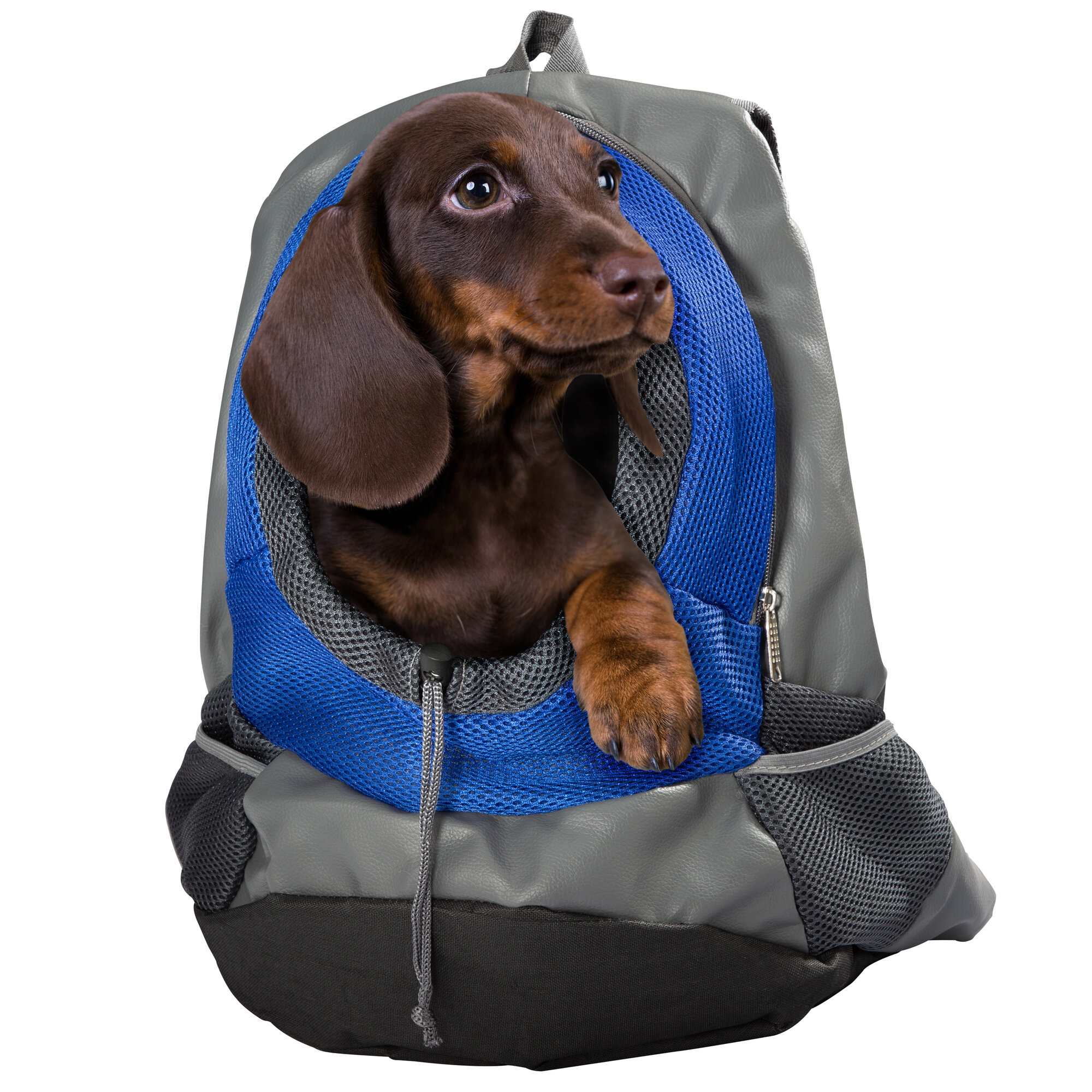 Rucksack für Hunde Rucksack für Hunde
