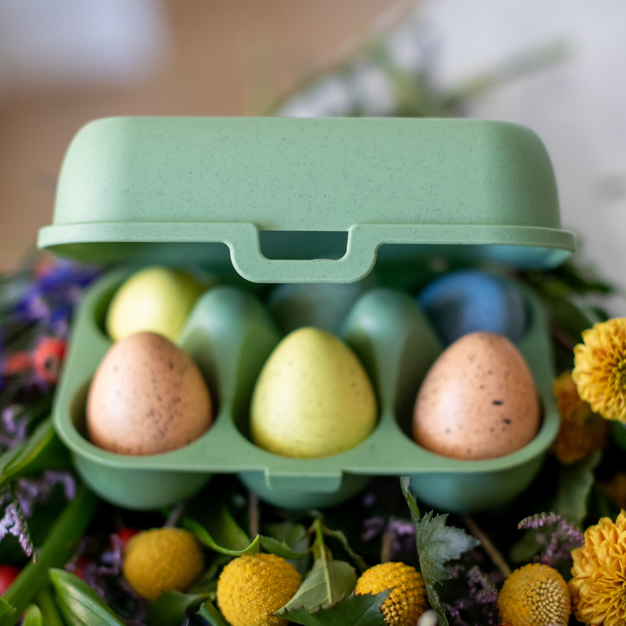Eierbox mini EGGS TO GO, grün