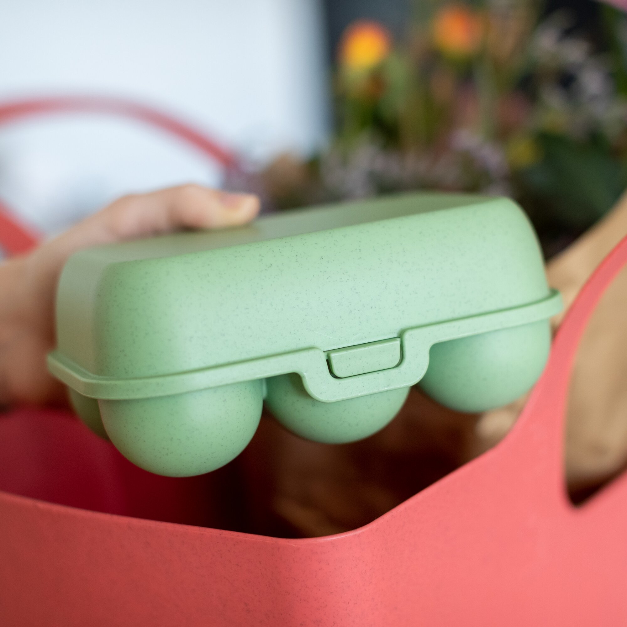 Eierbox mini EGGS TO GO, grün