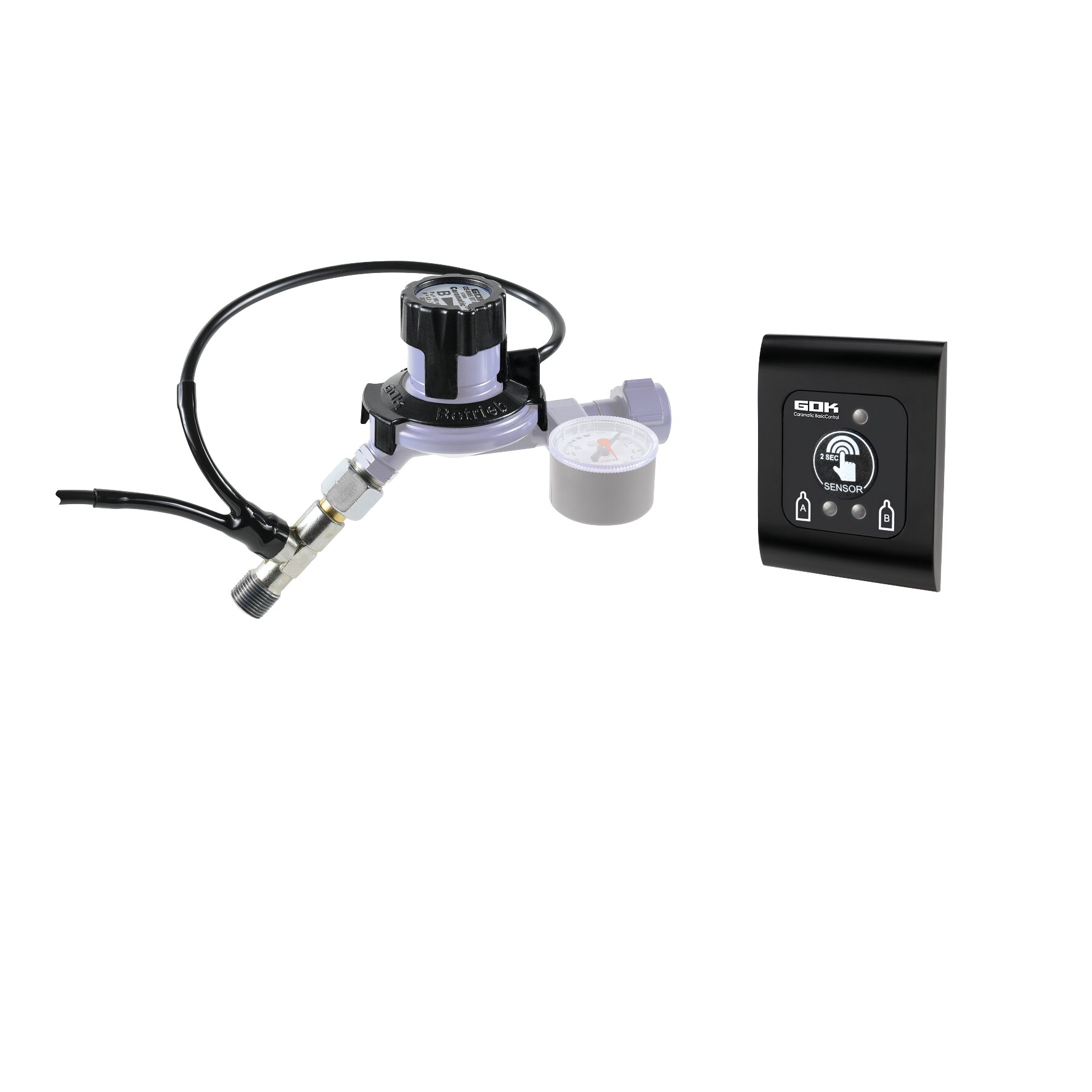 Komplettset Fernanzeige SV Caramatic BasicControl