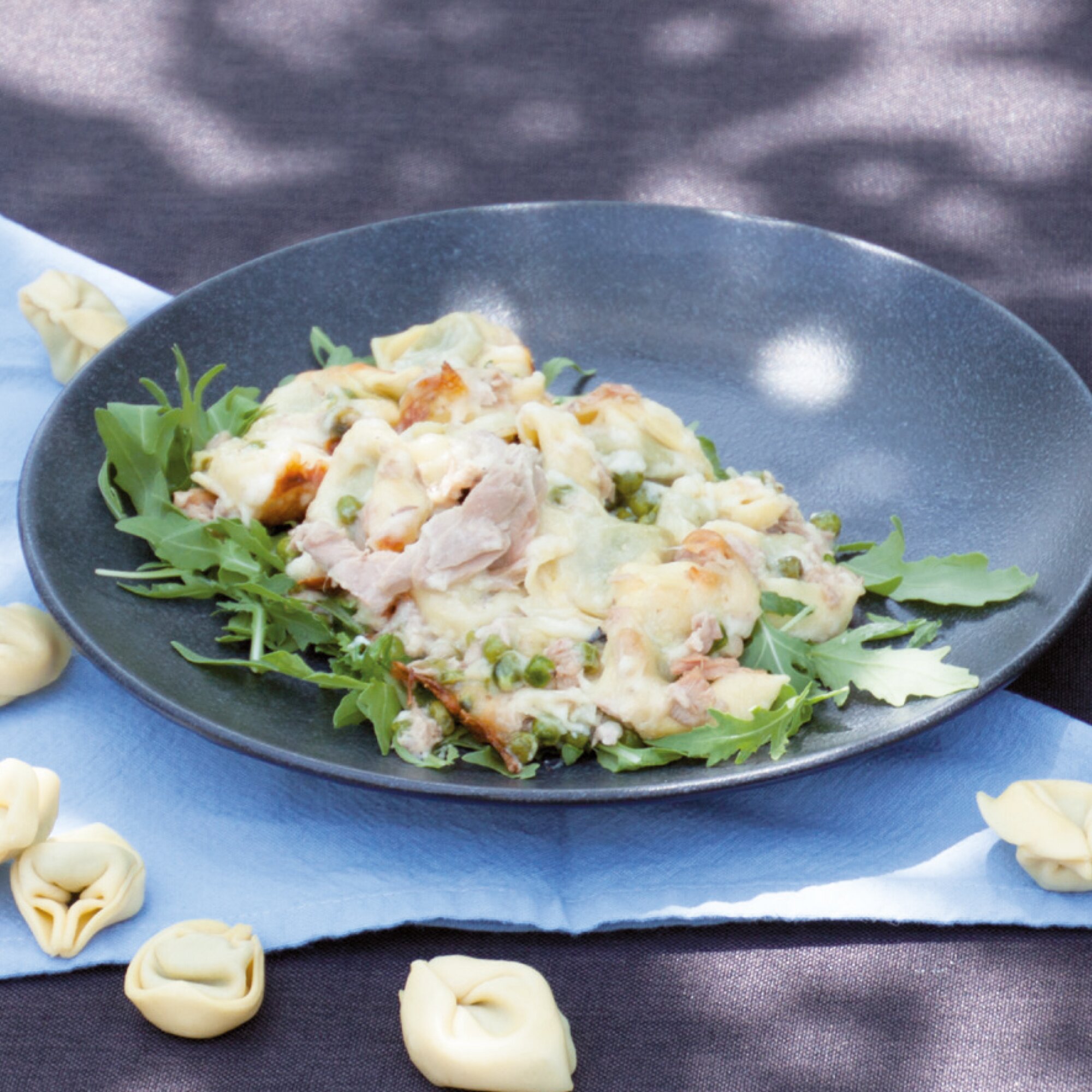 Kochbuch "Bestes Herzhaftes Fleisch & Fisch" Rezepte für den Omnia Backofen