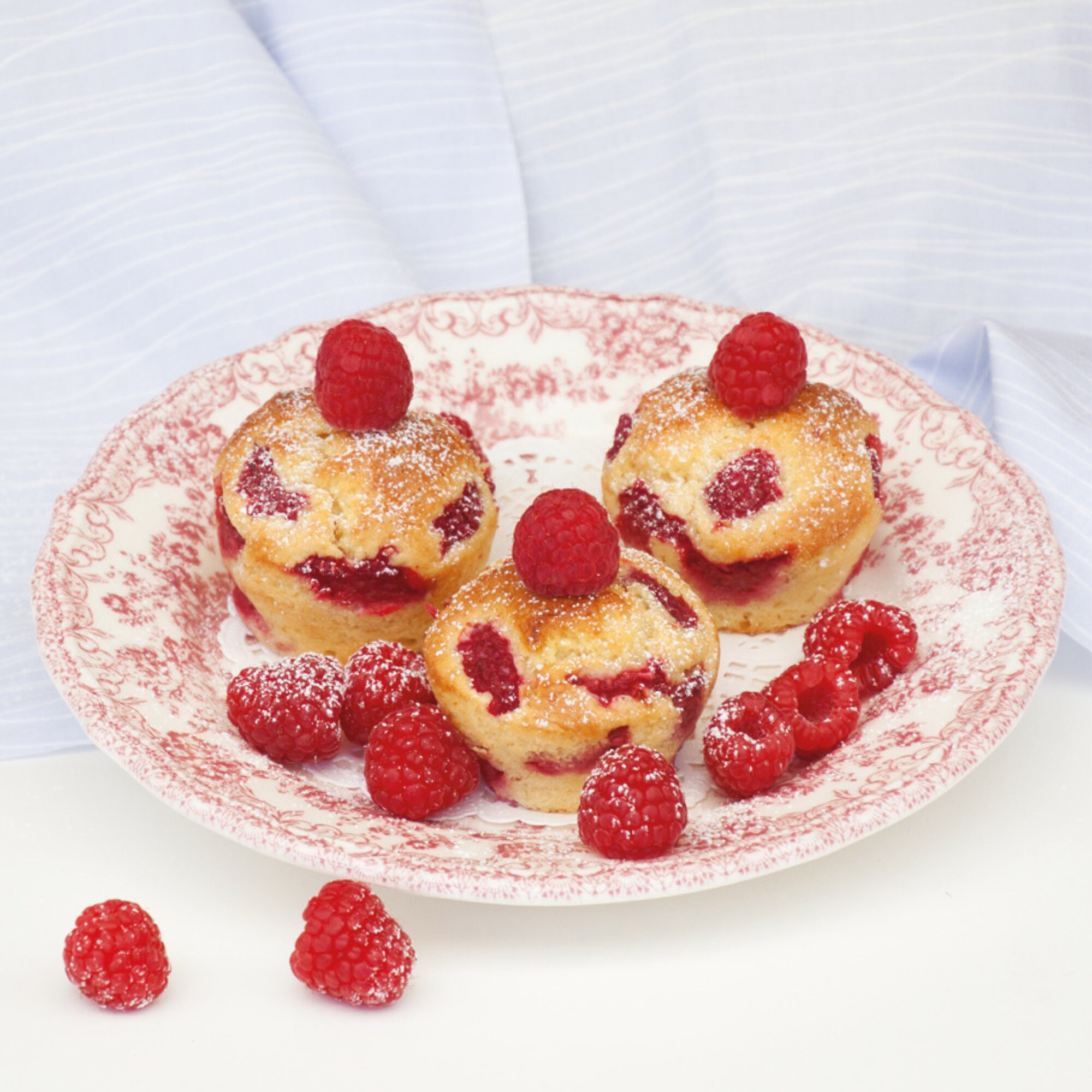 Das Muffinbuch süß & pikant – Rezepte für den Omnia Backofen – Backbuch