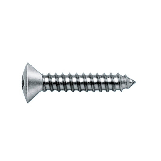 Linsensenk-Blechschraube Form C mit Kreuzschlitz H, 3,5 x 19