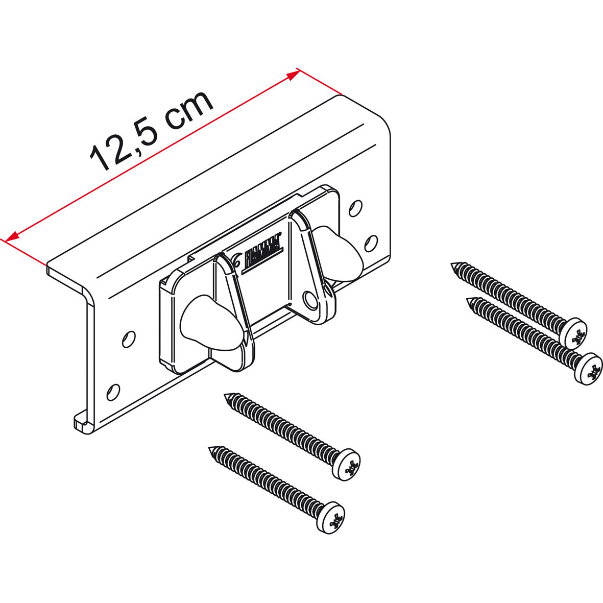 Carry-Bike Kit Dethleffs