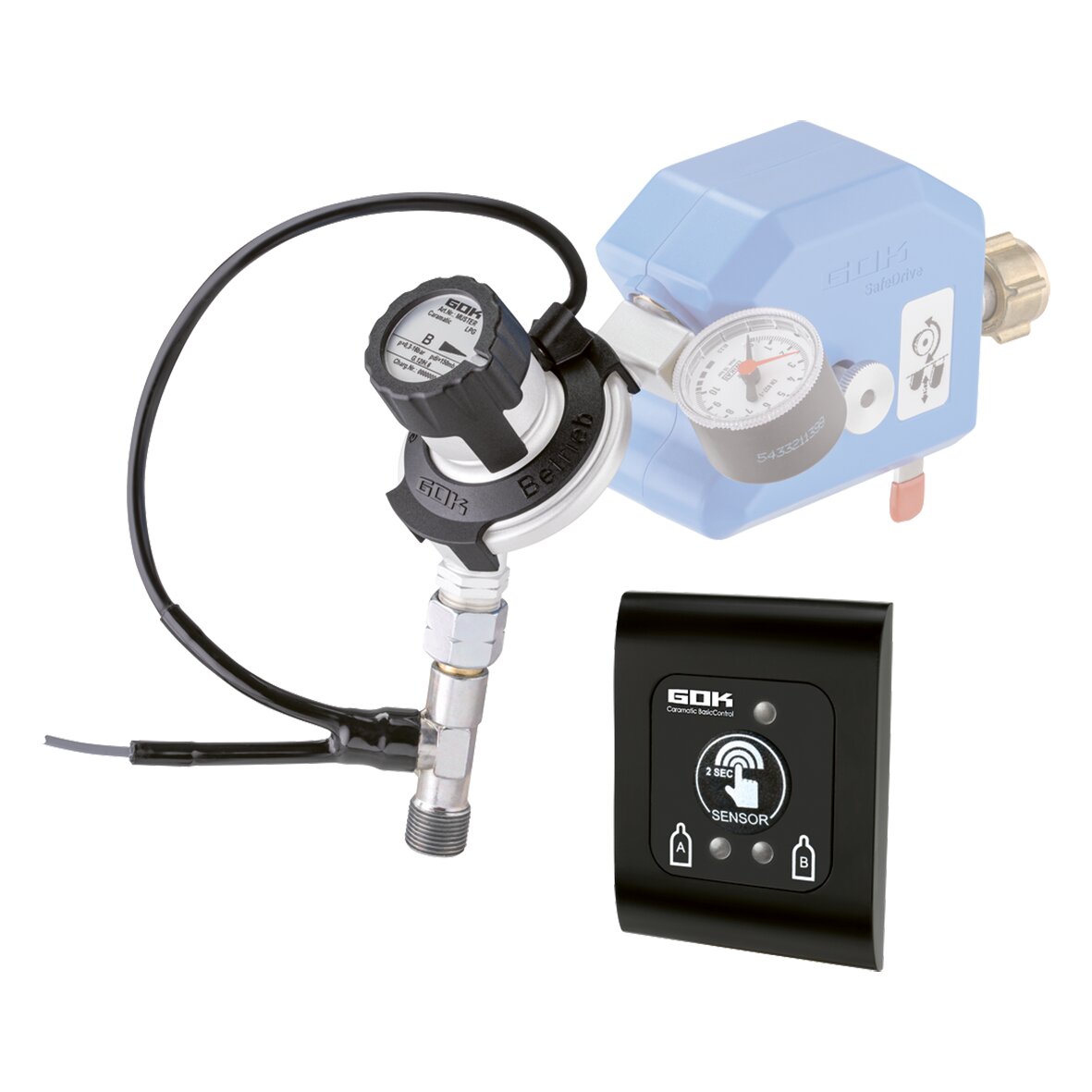 Komplettset Fernanzeige SV Caramatic BasicControl