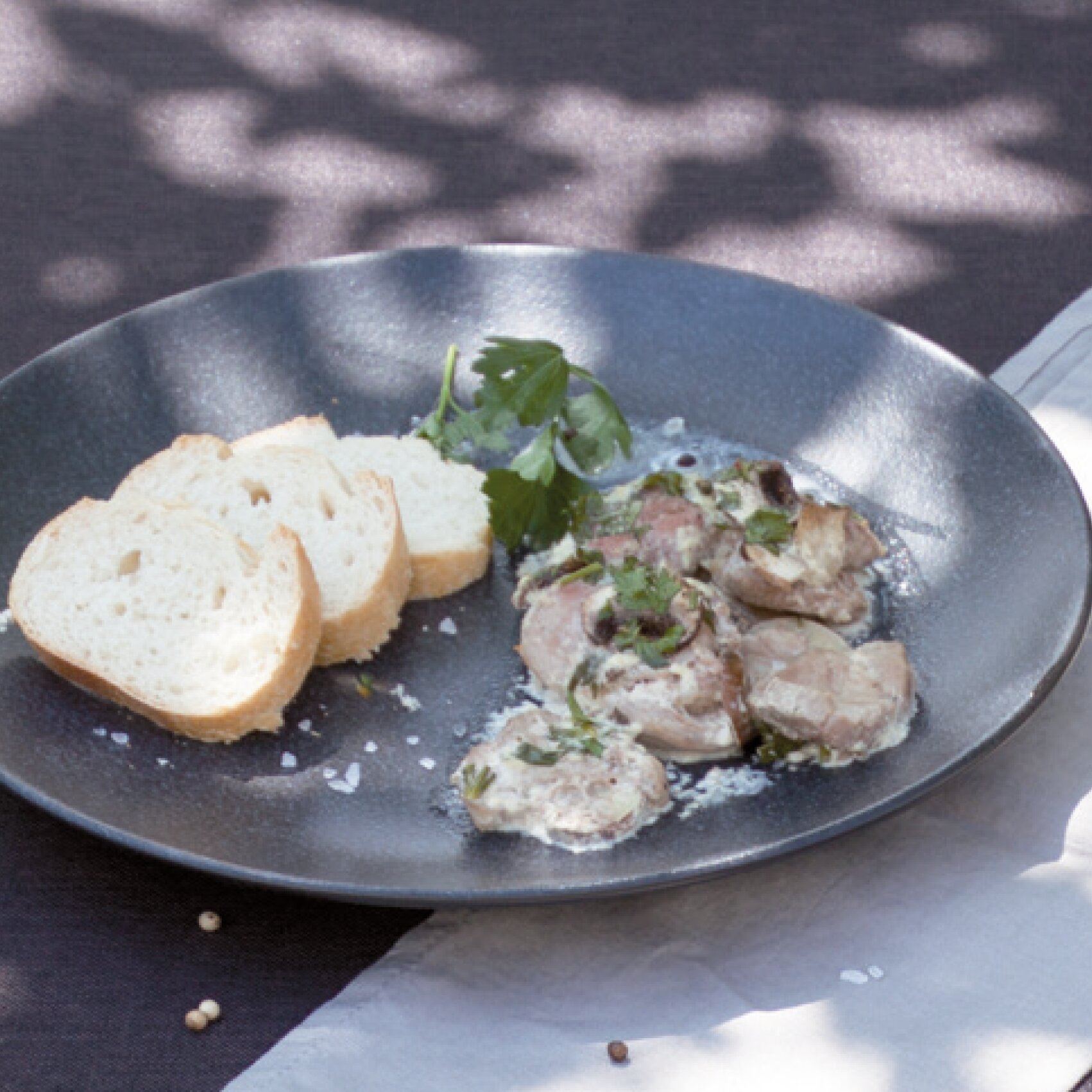 Kochbuch "Bestes Herzhaftes Fleisch & Fisch" Rezepte für den Omnia Backofen